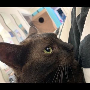 Meet your Posher, Ali